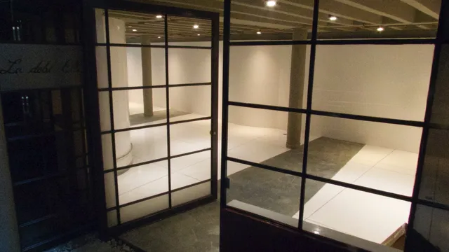 Lokkus Arte Contemporáneo