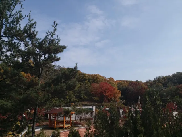 Bundang Central Presbyterian Church