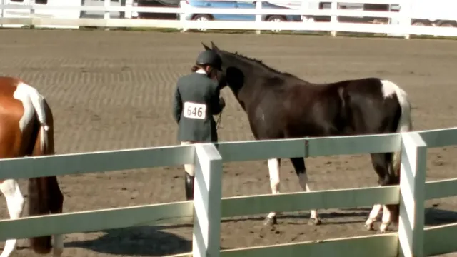 Horse Park of New Jersey