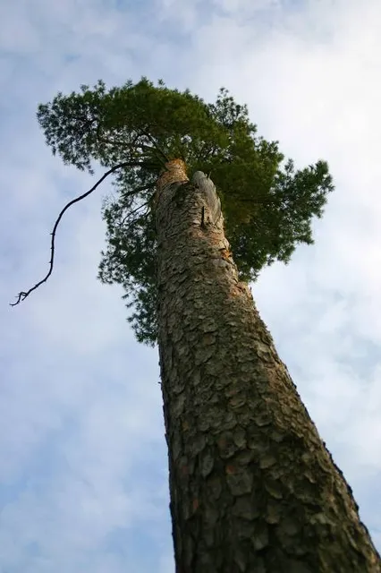 Formosa Nature Reserve