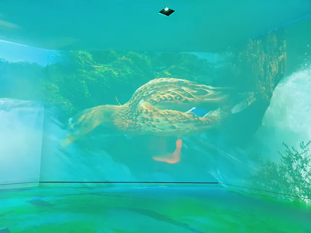 Rhyality Immersive Art Hall