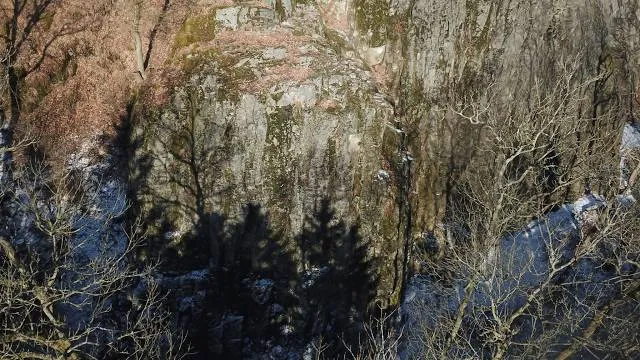 photo-2