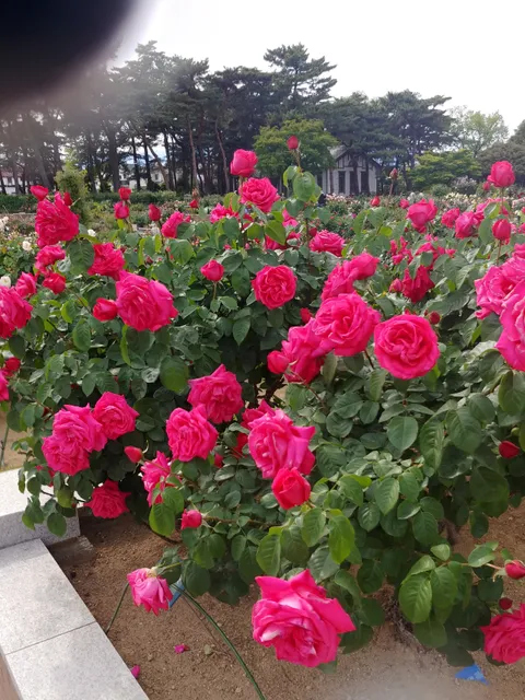 Shikishima Park