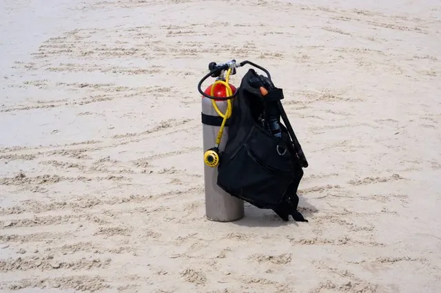 Praia de Rei Cortiço