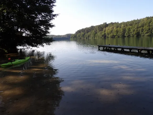 Rezerwat przyrody Dolina Rurzycy