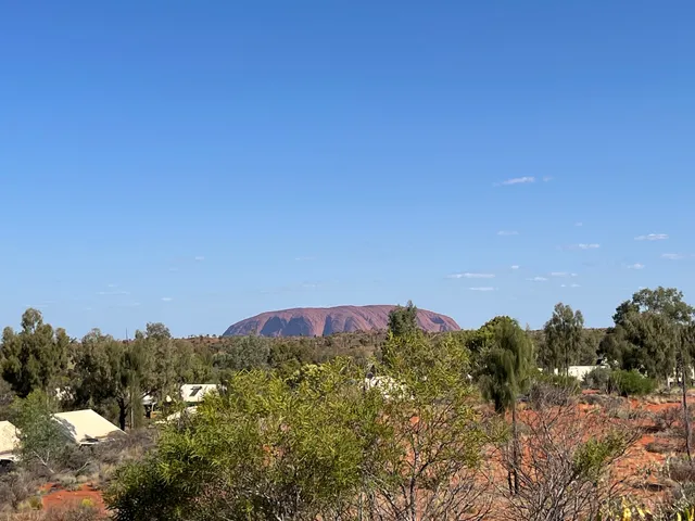 Pioneer Lookout