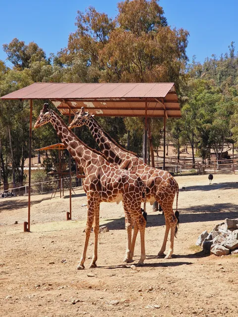 Reserva natural Castillo de las guardas