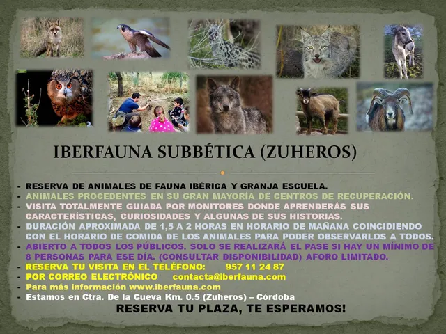 Iberfauna