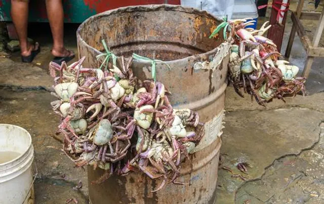 Paramaribo Central Market