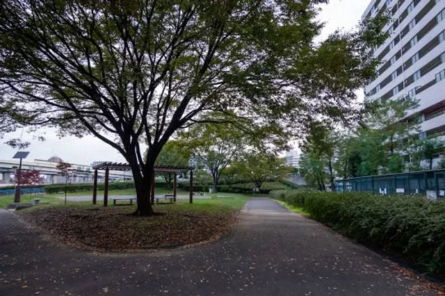 photo-2