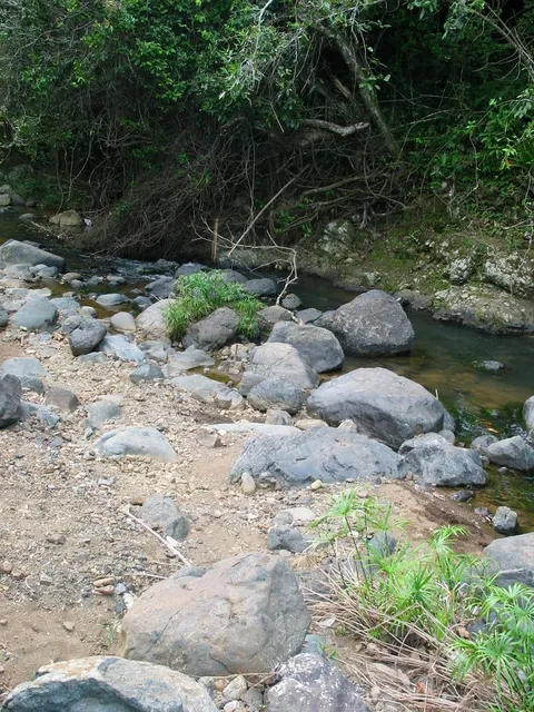 Chiquito River