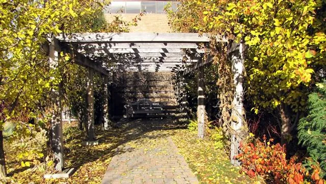 Boffins Public Gardens