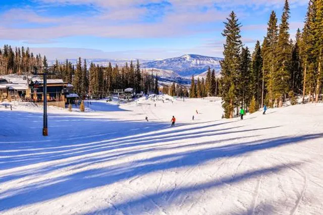 Stok Narciarski Gołębiewski