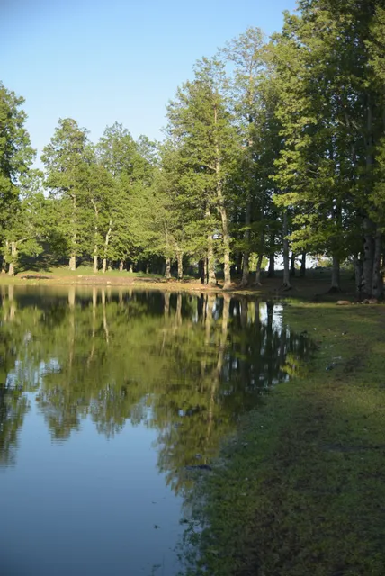 منبع عين تيزي مان