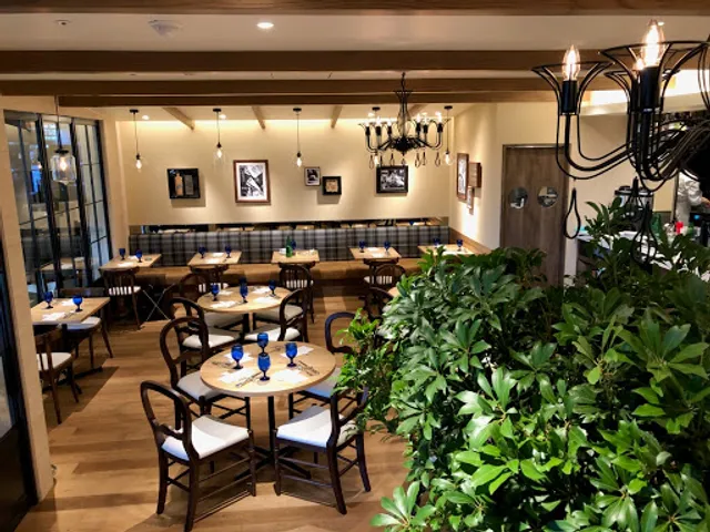 Tanto Tanto Italian Seijo