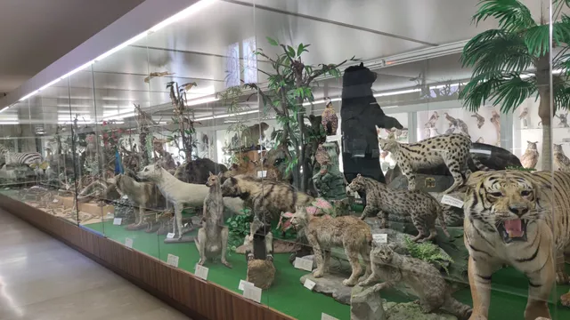 Museo Padre Aurelio Menin