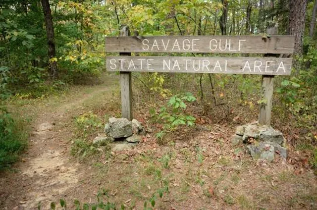 Savage Gulf State Natural Area