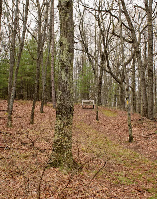 Houghton Land Preserve