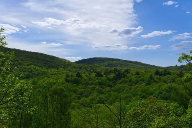 Norvin Green State Forest