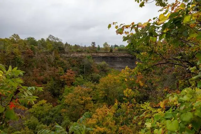 Mabel Davis Conservation Area