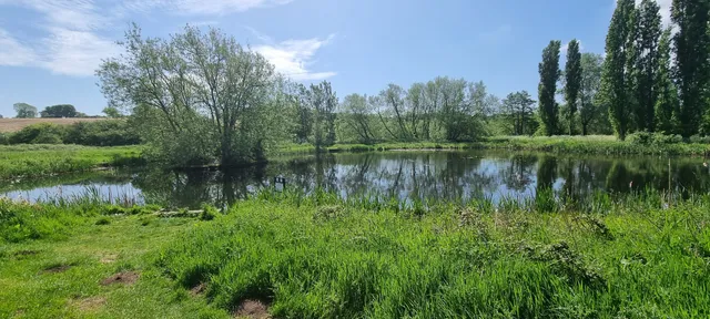 Salary Brook Local Nature Reserve