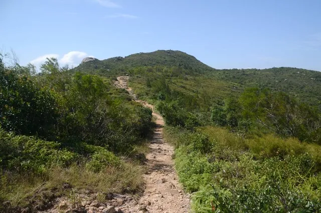 High Junk Peak Country Trail