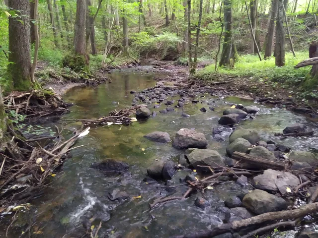 Reserve "Jar Reknicy"