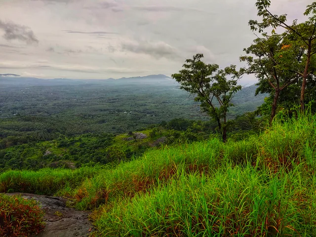 Vattamala View Point