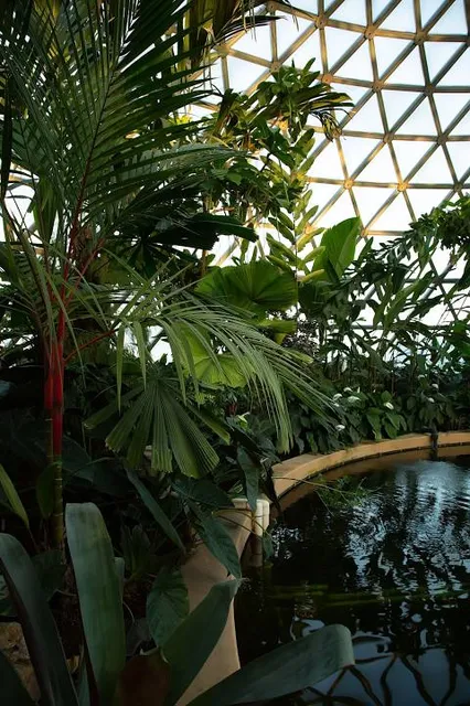 Tropical Display Dome
