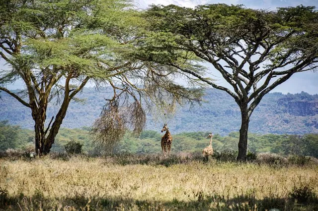 Oserengoni Wildlife Sanctuary