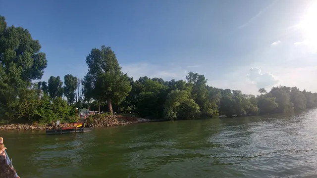 photo-1