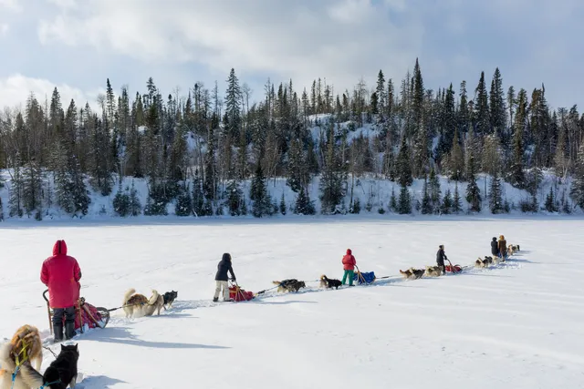 Attractions Boréales - Voyage Traîneau à chiens & Canöe