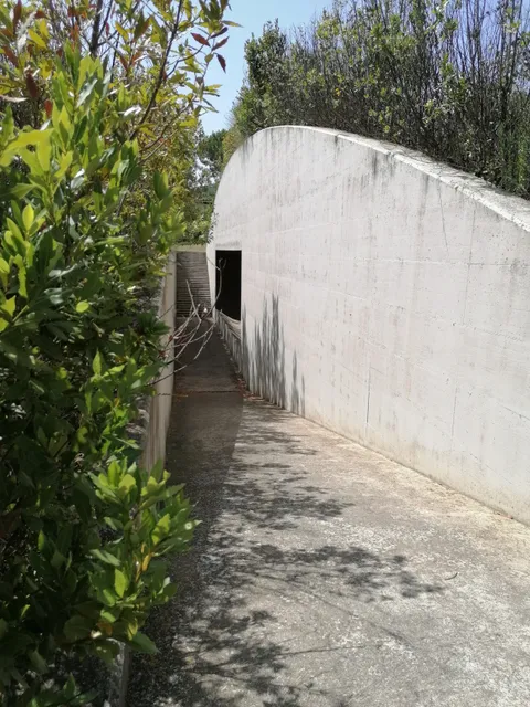 Earth Cinema - Anish Kapoor