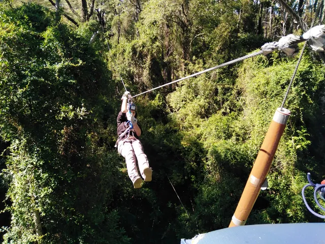 Bosque Aventura Pucón