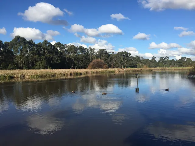 Bushy Park Wetlands