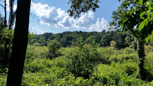 Kleinstuck Preserve/Nature Trail
