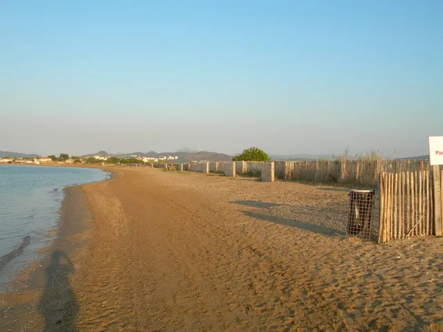 Plage des Vieux Salins