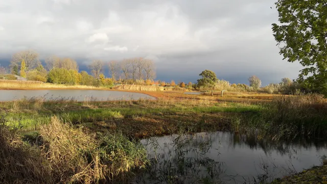 Provinciaal Overstromingsgebied Jutse Plassen