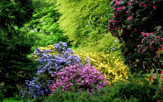 Galloway House Gardens