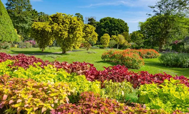 Jardin botanique de Nice