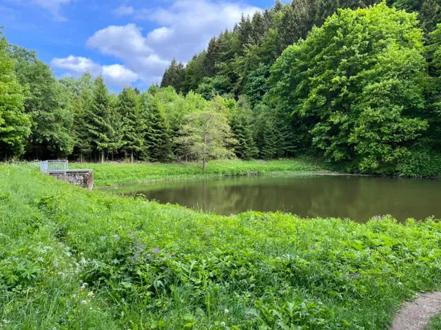 Unteres Helletal Nature Reserve