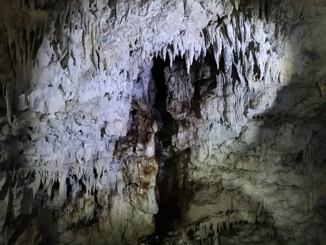 place image