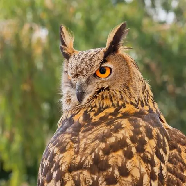 Animal Park Serre-Ponçon