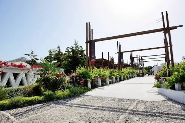 Santorini Wine Museum