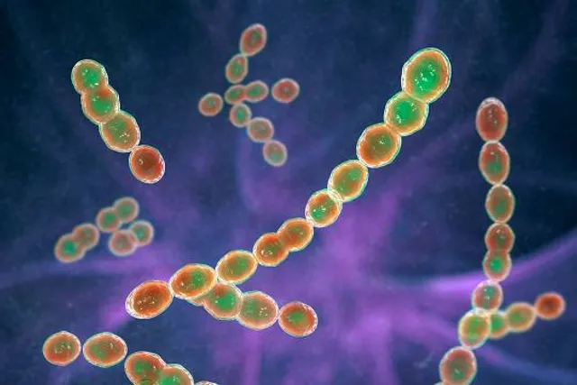 Plaza Cultural del Sinú