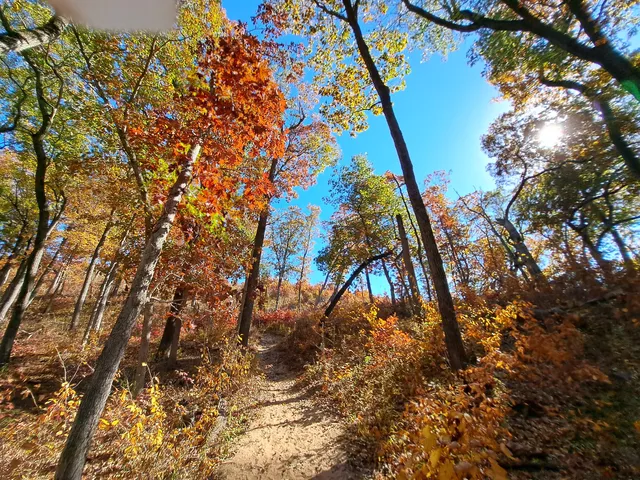 Indiana Dunes National Park Cowles Bog Trail