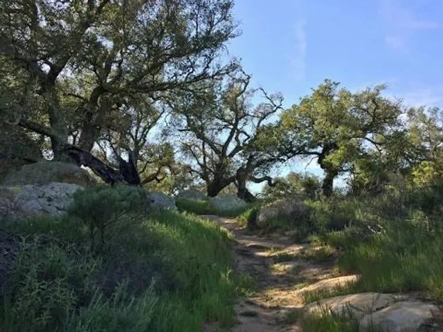 Charmlee Wilderness Park