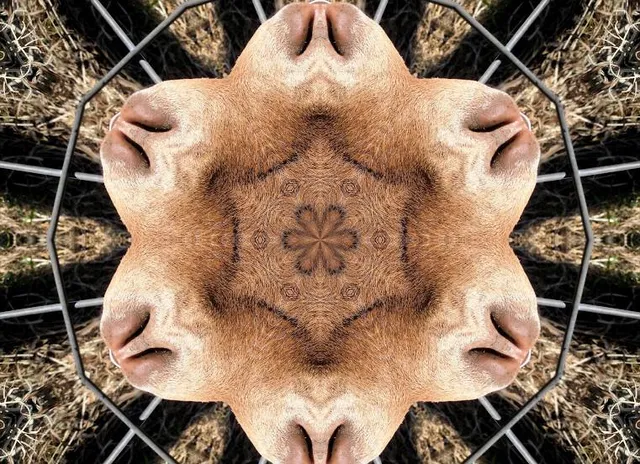 Thuringian Zoo Park, Erfurt