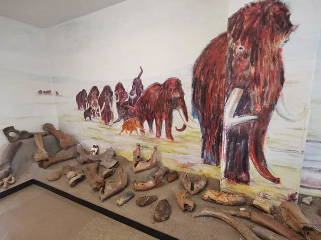 Museum im Storchenschulhaus