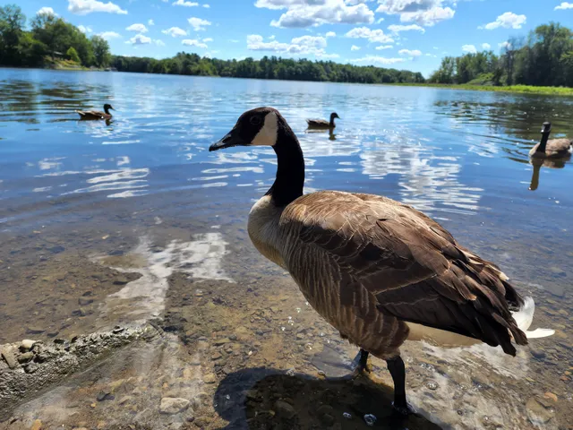 Mise à l'eau (embarcations non-motorisés) et berges